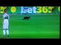 Gato Negro en el Camp Nou / Barcelona-Elche / 24-08-2014