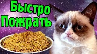 Как Быстро Приготовить Пожрать! (Вопросник) №2