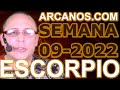 Video Horscopo Semanal ESCORPIO  del 20 al 26 Febrero 2022 (Semana 2022-09) (Lectura del Tarot)