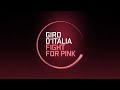 Giro d'Italia 2013 Tappa / Stage 13 Official Highlights