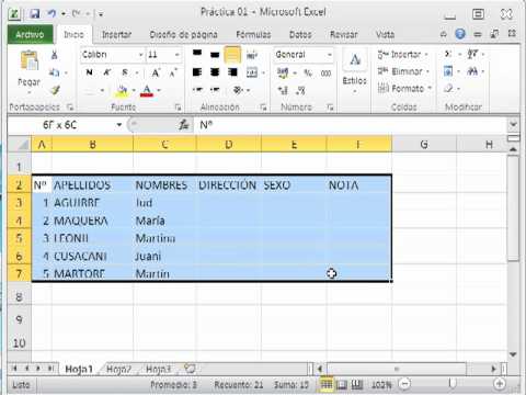 Excel 2010 Parte 3 - Cambiar ancho y alto de la celda, fuente y bordes