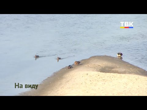 Сделаем город чище Сделаем город чище
