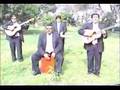 Mix Embajadores Criollos de Chincha