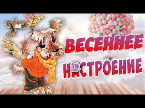 Видео поздравление для девочек прикольные Видео поздравление для девочек прикольные