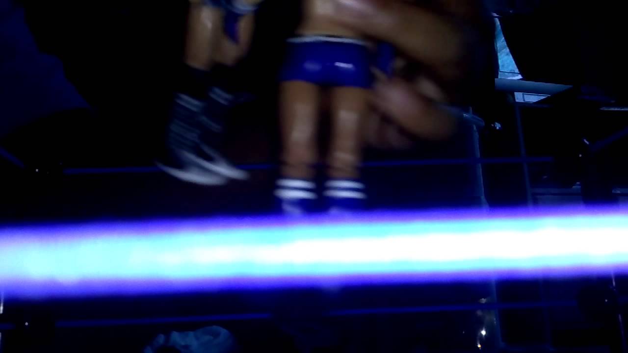 WWE Smackdown vs. Raw 2010 - Lady Fight Gameplay Movie 