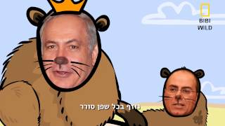 מי משתפן בליכוד??