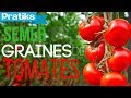 Comment semer ses graines de tomates ?