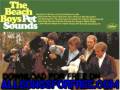 The Beach Boys - I Know There S An Answer [Stereo Mix]