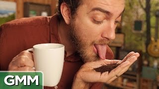 Cat Poop Coffee Taste Test