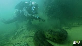 Bone Crusher - How to Catch an Anaconda | River Monsters