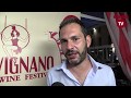 anteprima video