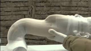 Artist transforms classical art with paper
