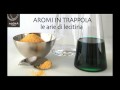 6. La cucina scientifica di Moebius - Aromi in trappola