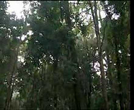 akil hayy-zikir munajat)} - YouTube