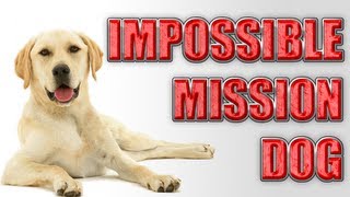 Impossible mission dog