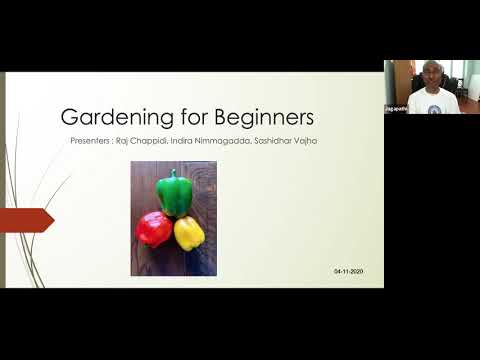 Gardening Webinar for Beginners