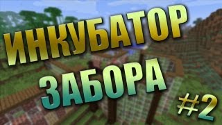 Инкубатор забора №2