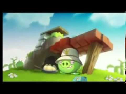 angry birds cartoon  YouTube