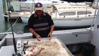 How to gut a Snapper the easy way without a knife ! From Auckland Fishing Charters