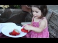 Ava eats Kosovo