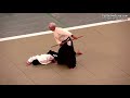 Aikido - Ueshiba Moriteru Doshu - 51st All Japan Aikido Demonstration 2013