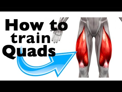 Download How to: Train the Quadricep Femoris (+9 gym exercises & scientific studies)