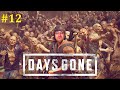 Days Gone Прохождение - Стрим #12