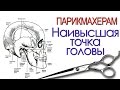 Артем Любимов - радиальный пробор и наивысшая точка головы Артем Любимов - радиальный пробор и наивысшая точка головы