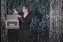 Americas Funniest Home Videos - Youtube