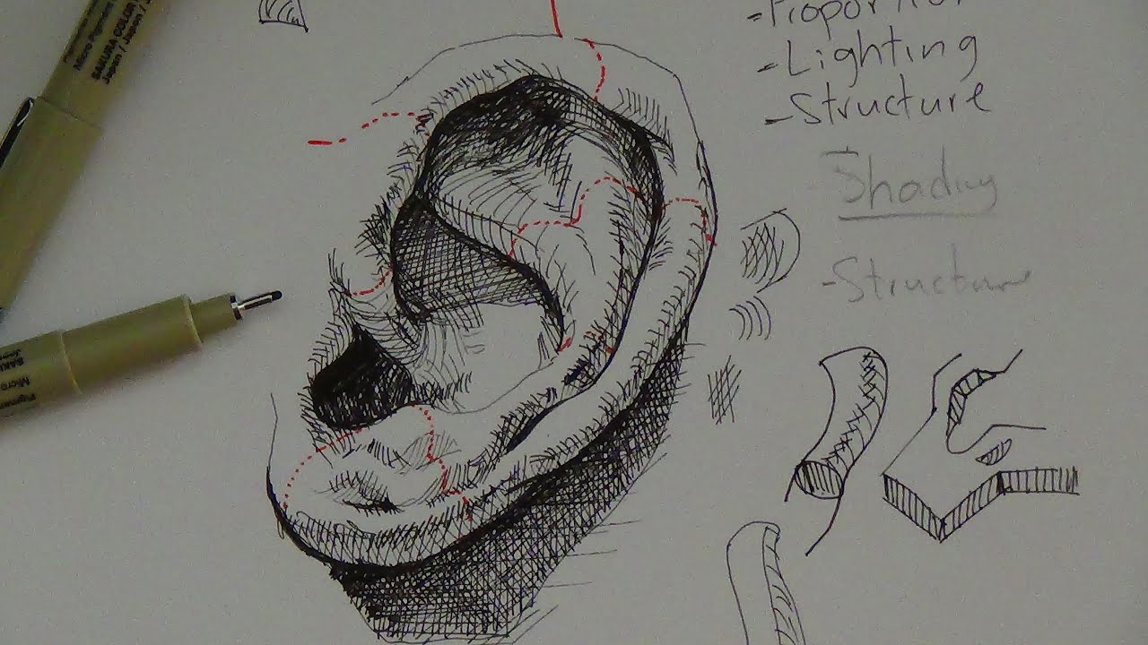 Pen & Ink Drawing Tutorials | How to draw a realistic ear - YouTube