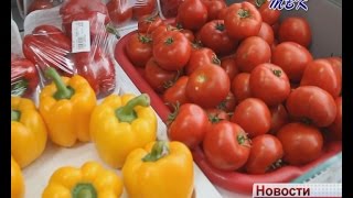 Йогурт, лимонад и мороженое искитимские врачи назвали в числе вредных для здоровья продуктов