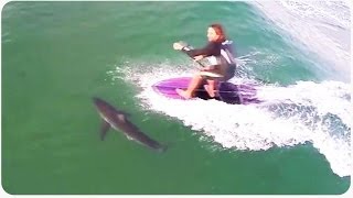 Paddleboarder Nearly Runs Over Shark | Close Call