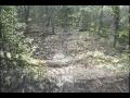 Bear Creek_May '10.wmv