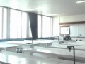 miniature
