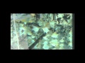 8e bourse Aqua Terra de Sallertaine
