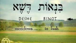 Psalm 23 Song In Hebrew