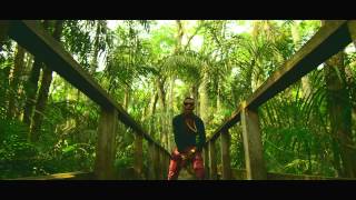 WizKid - Jaiye Jaiye (Official Video)