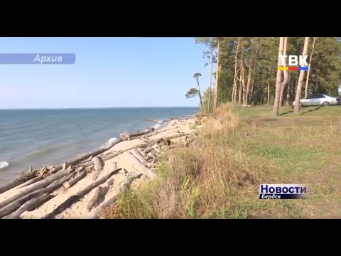 Бердская коса нуждается в защите, экологи бьют тревогу Бердская коса нуждается в защите, экологи бьют тревогу