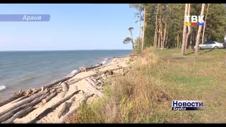 Бердская коса нуждается в защите, экологи бьют тревогу