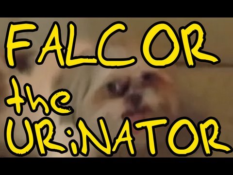 FALCOR - the URiNATOR (TROGDOR Parody) - Now on iTunes! - YouTube