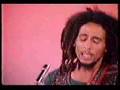 Bob Marley & the Wailers - Roots Rock Reggae