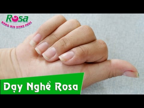 Dạy làm móng, cắt da - rosavn.net