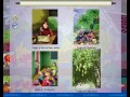 Video GT PM Tu lieu Day hoc Tieng Viet 2_1.wmv