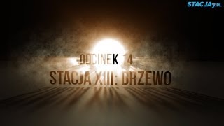 Oto Człowiek! Odcinek 14. Stacja XIII: Drzewo