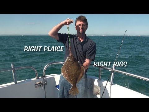 Portland Plaice fishing rigs and 2013 catch footage