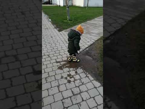 LOUIS JUMPING IN MUDDY PUDDLE AND SLIPPING *TOO FUNNY*