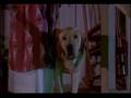 The Cat From Outer Space(1978)