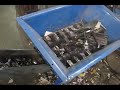 SSI's Shred of the Month: Copy Machine Shredding (P)