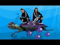 Little Big & Little Sis Nora - Hardstyle Fish (Official Video)