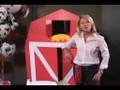 How To Decorate A Farm Party - Shindigz - Youtube